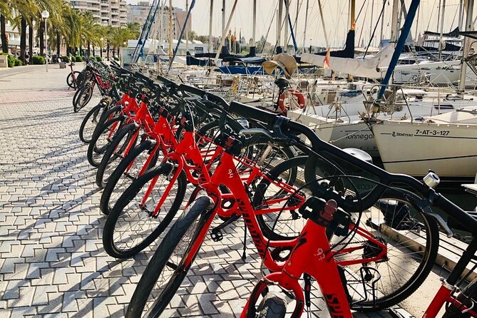 Palma de Mallorca Bike Tour with tapas - Timing, pace, and guide quality