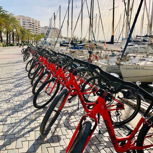 Palma de Mallorca: Guided Bicycle Tour with Tapas & a Drink - Starting beside the sea on Avenida de Gabriel Roca