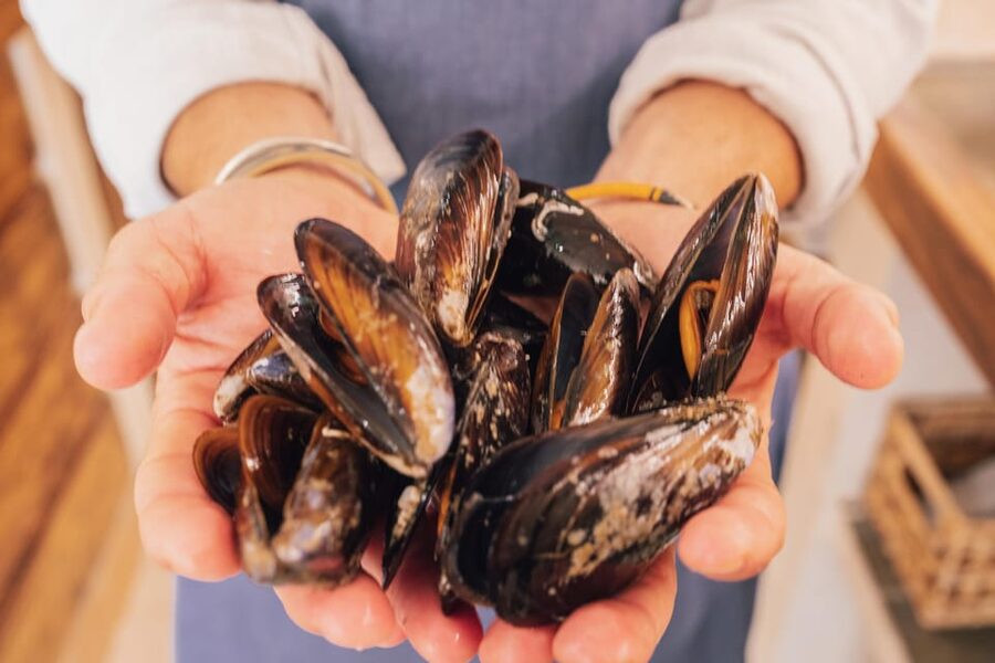 Palma de Mallorca: Spanish Cooking Experience - A social class that works for solo visitors
