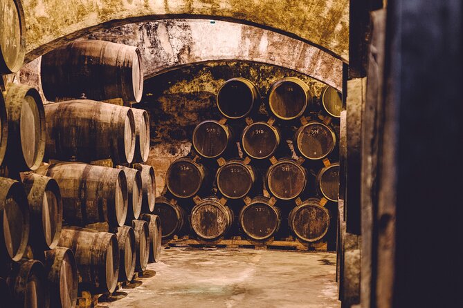 Palma Distillery Tour with 3 Spirits and Gourmet Tapas Tasting - Inside Bodegas Suau’s underground cellar