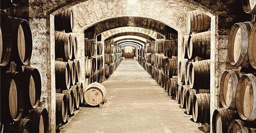Palma: Distillery Tour with 6 Spirits and Tapas Tasting - Why Bodegas Suau is different from a standard tasting