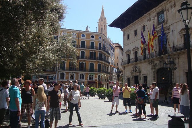 Palma old town tour with Wine & Tapas Tastings - Wine, olive oil, and the first tastings