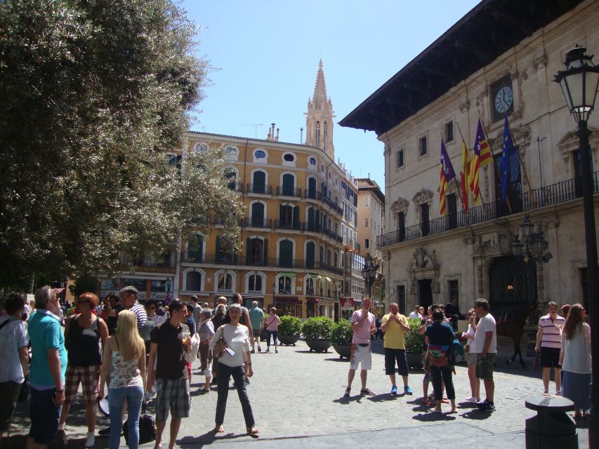 Palma Tour with Wine and Tapas Tasting - Who should book this Palma food walk