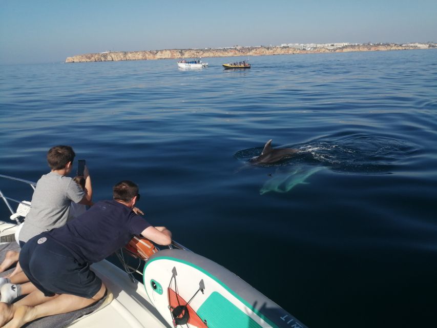 ponta da piedade 2h luxury charter with drinks and tapas - Praia da Batata and Bandeira Fort