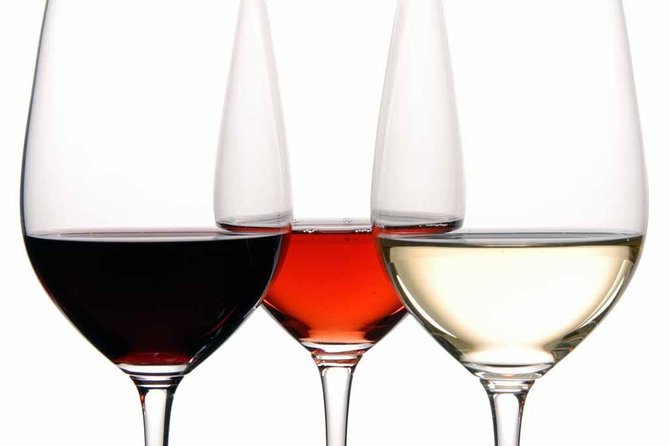 PREMIUM TAPAS TOUR: Tapas, Paella and Winery - The guide can make or break the evening