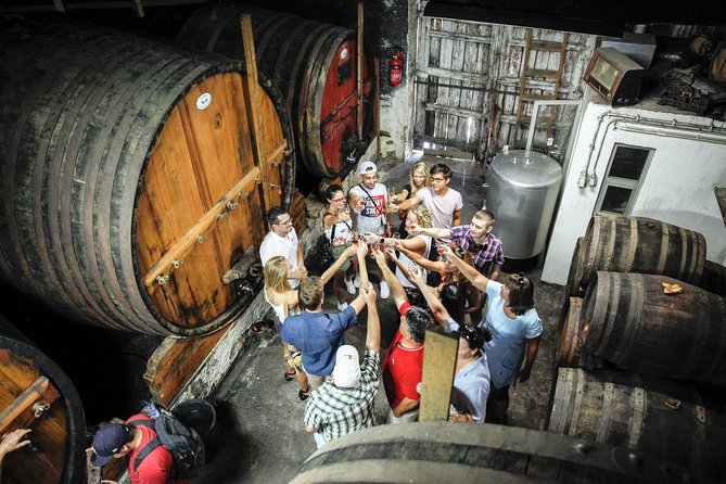 PREMIUM TASTING and TAPAS with GUIDED TOUR - Two 10-year-old Ports to finish