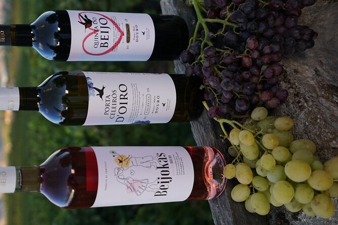 PREMIUM TASTING and TAPAS with GUIDED TOUR - Why the 16-person limit matters