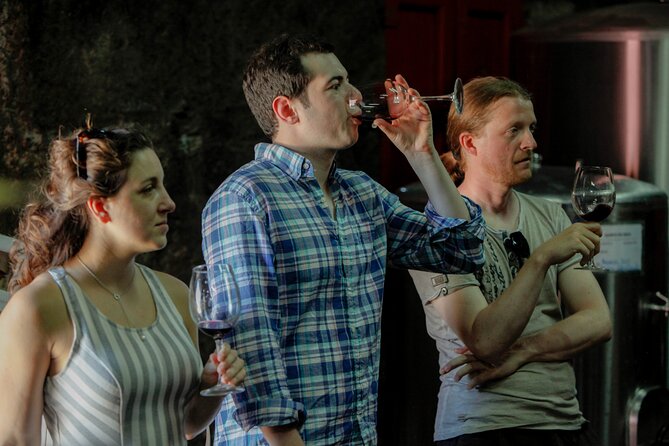 PREMIUM TASTING and TAPAS with GUIDED TOUR - Three DOC wines to compare