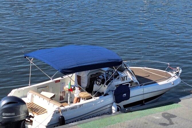 Private 6 Bridges Cruise with Tapas and Port Wine - Starting at Freixo Marina