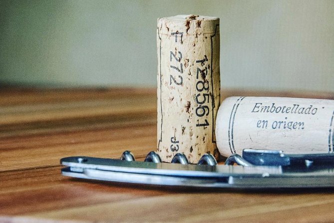 Private Barcelona Walking Tour & Wine Tasting + Tapas Dinner - Should You Book This Private Barcelona Tour?