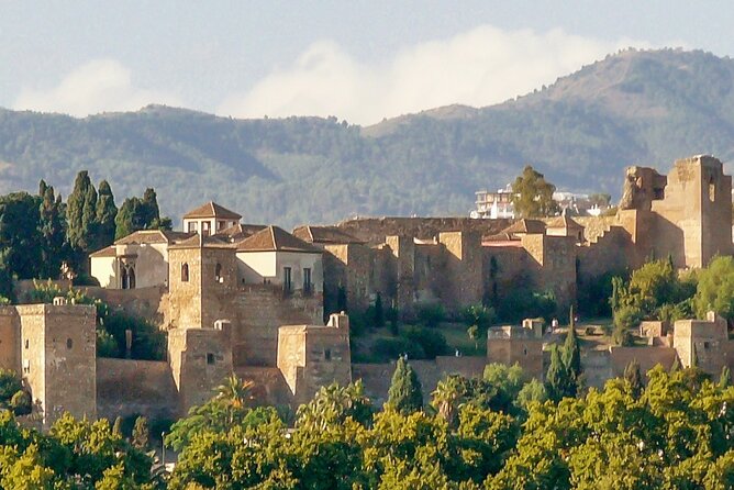 Private Malaga City Center Walking Tour with Tapas Food Tastings - Gibralfaro and the city from above