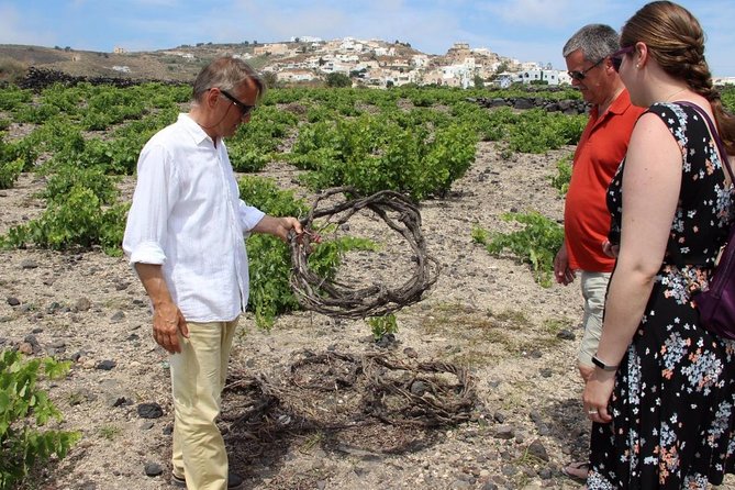 Private Santorini Sunset Wine Tour with Tastings and Tapas - Why Santorini wine is worth your afternoon