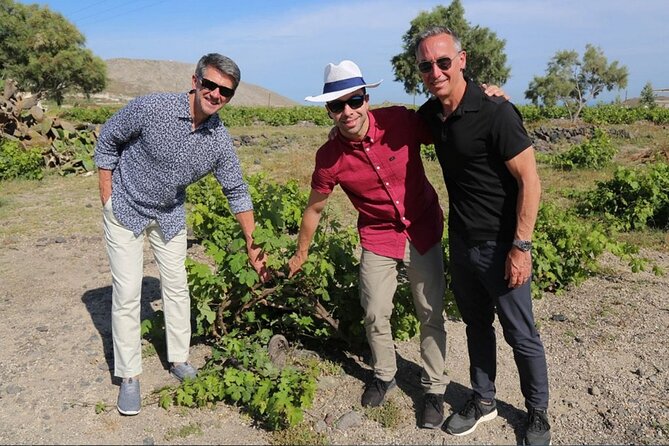 Private Santorini Sunset Wine Tour with Tastings and Tapas - Who will enjoy this tour most