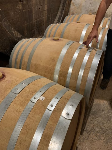 Private tour: Wine and tapas, experience real Mallorca - An agricultural estate with four generations of stories