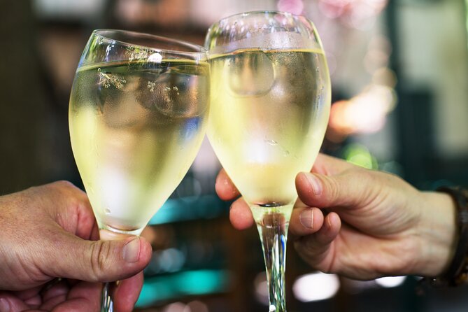 Private Vienna Wine Tour with Top Austrian Wines and Tapas - Key points at a glance