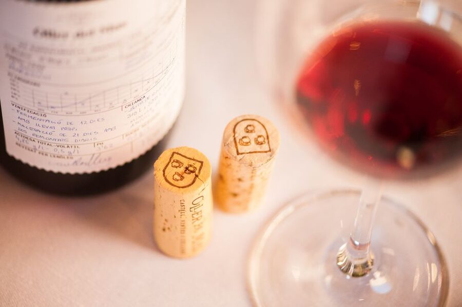 Private Wine, Tapas & Cava Experience from Barcelona - Who should book this wine day?