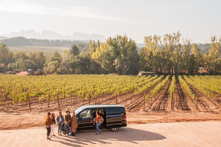 Private Wine, Tapas & Cava Experience from Barcelona - Why these two regions make a better day than one winery