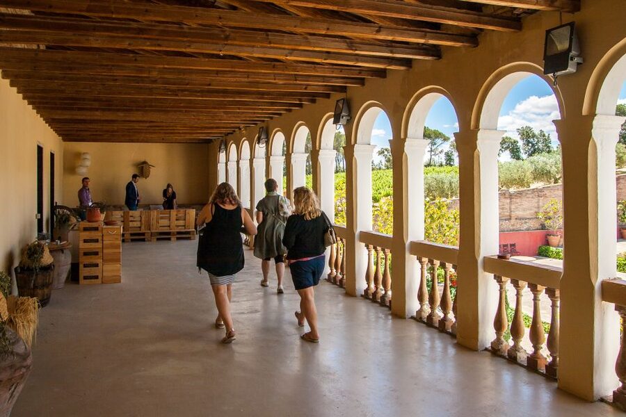 Private Wine, Tapas & Cava Experience from Barcelona - Second stop: Oller del Mas and the Pla de Bages setting