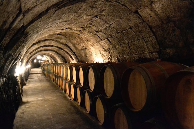 Ribera del Duero Small Group Tour: Tapas & Wine Tasting - Why Ribera del Duero makes a good day trip from Madrid