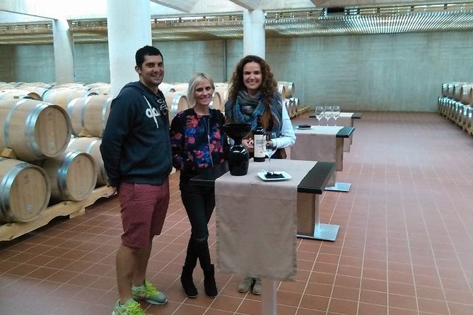 Ribera del Duero Small Group Tour: Tapas & Wine Tasting - The tasting program: 12 wines, barrels, and cellar details
