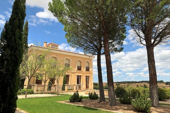 Ribera del Duero Small Group Tour: Tapas & Wine Tasting - Lunch at a winery, not a city restaurant