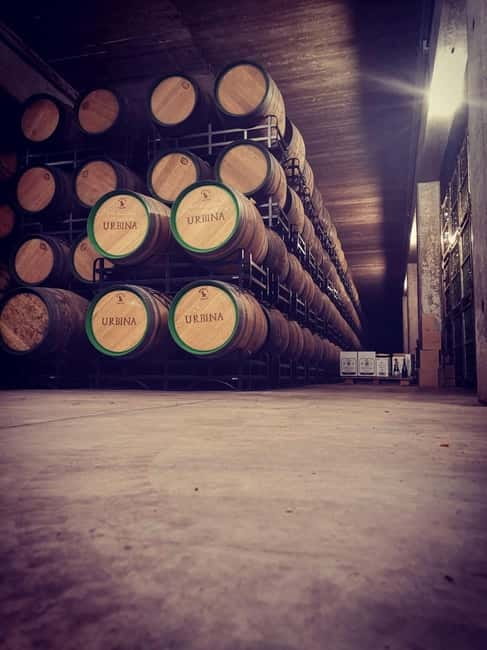 Rioja Wine Tour: 3 Wineries & Pintxos Lunch - Why this Rioja route works