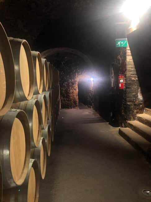 Rioja Wine Tour: 3 Wineries & Pintxos Lunch - Timing, transport, and what to bring