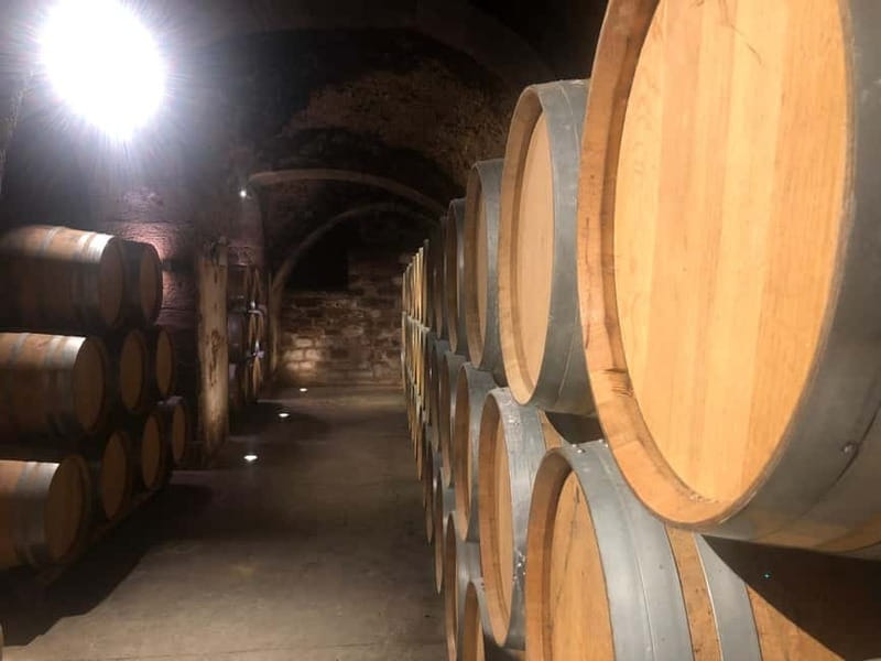 Rioja Wine Tour: 3 Wineries & Pintxos Lunch - Laguardia begins with a strong sense of place