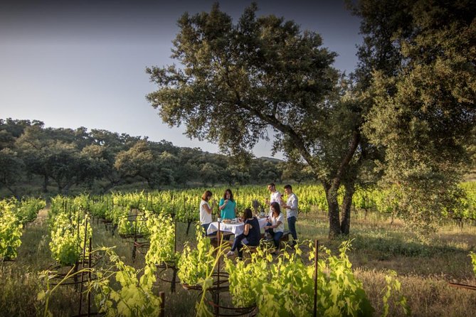 Ronda Private Wine Tour and Tapas from Marbella - Walking the vineyards beneath an oak tree