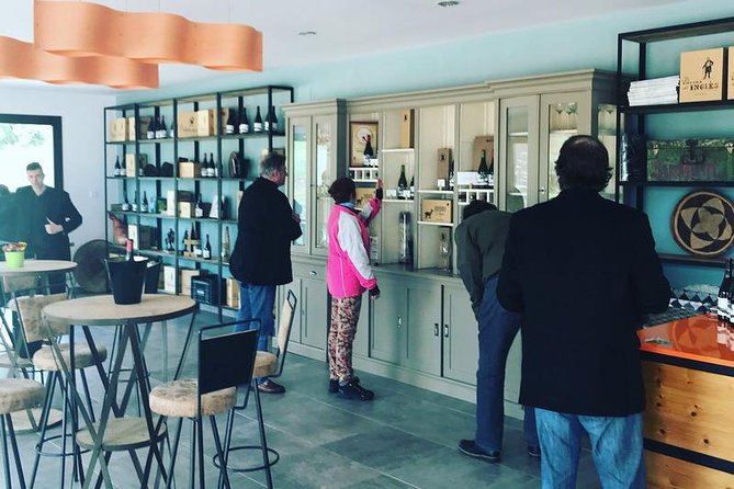 Ronda Private Wine Tour and Tapas from Marbella - The guides can shape the whole experience