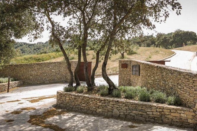 Ronda Private Wine Tour and Tapas from Marbella - Who should book this day from Marbella?