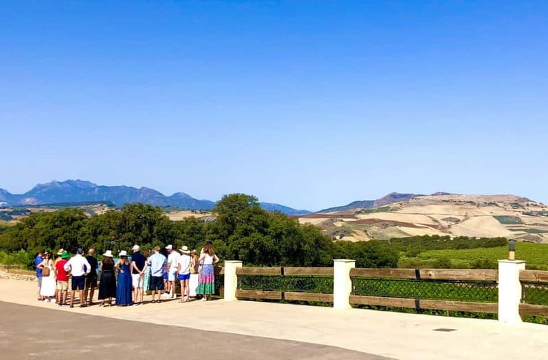 Ronda: Winery Tour with Wine Tasting and Tapas - Inside the cellar and production rooms