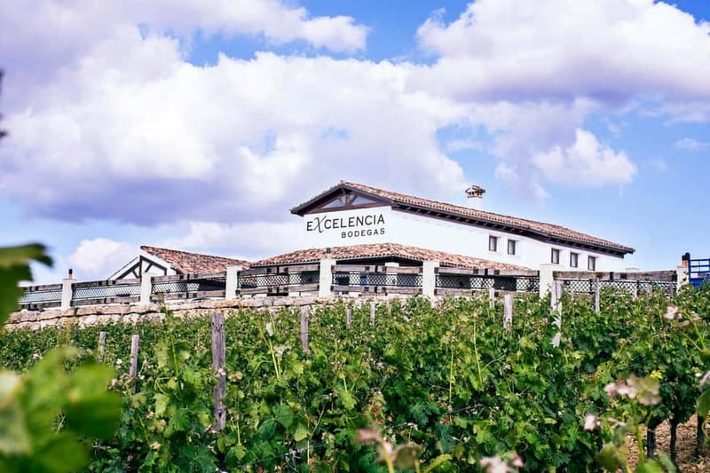 Ronda: Winery Tour with Wine Tasting and Tapas - Andalusian tapas make the tasting practical
