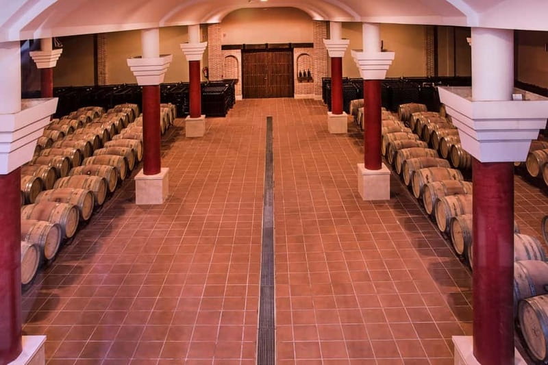 Ronda: Winery Tour with Wine Tasting and Tapas - The countryside views and the vineyard dogs