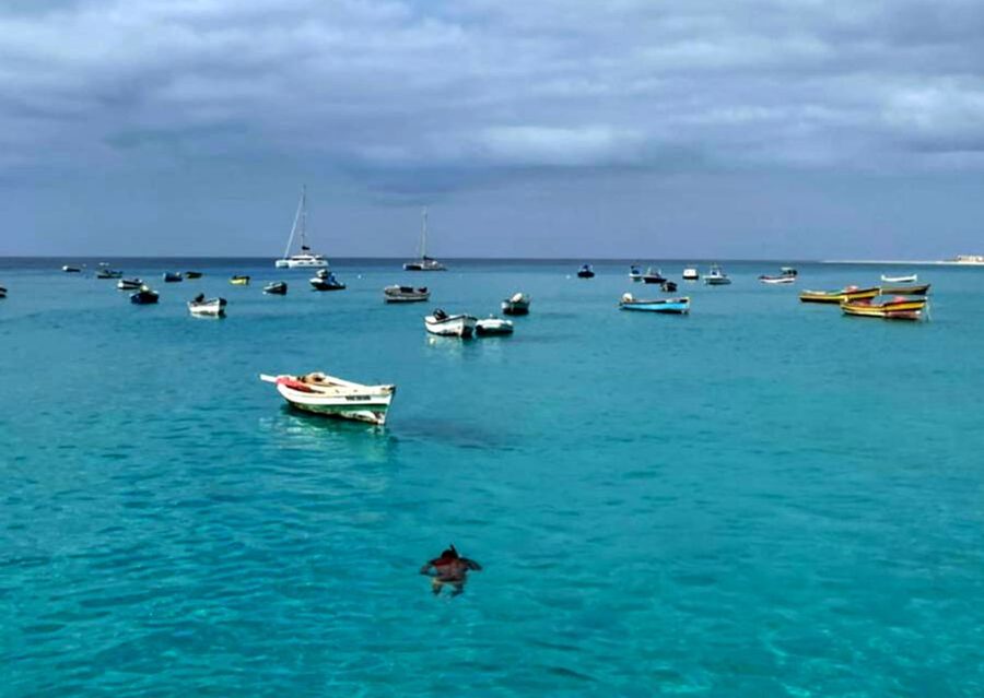 Sal island: Santa Maria city tour, street art and tapas - Starting in Santa Maria, Sal’s main tourist town