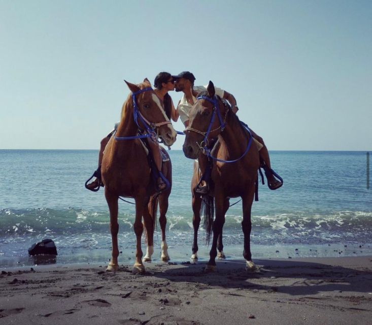 Santorini Fun day: Horseriding- Wine Tasting - Tapas - Key points to know before booking