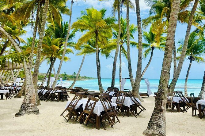 Saona Island Full Day Tour with Buffet Lunch, Paella, & Open Bar - Key points at a glance
