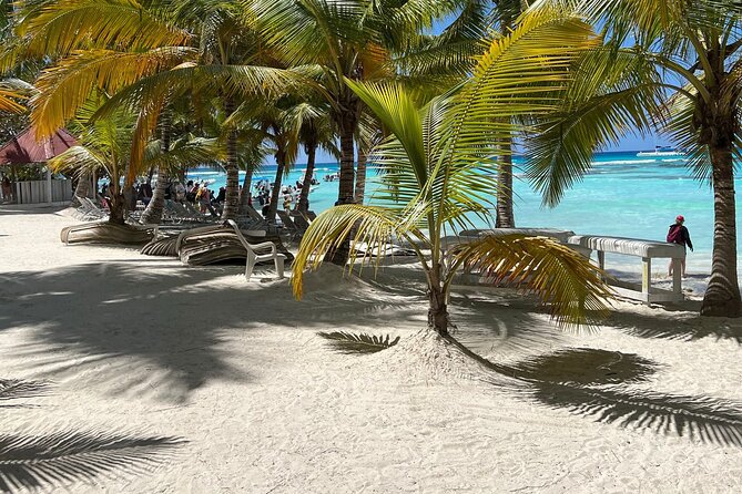 Saona Island Full Day Tour with Buffet Lunch, Paella, & Open Bar - Reaching Saona Island by speedboat