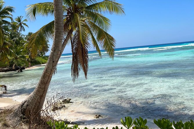 Saona Island Full Day Tour with Buffet Lunch, Paella, & Open Bar - Three hours for beach time and snorkeling