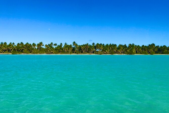 Saona Island Full Day Tour with Buffet Lunch, Paella, & Open Bar - Paella lunch at your own table