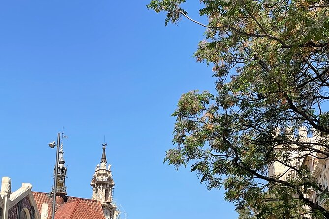 Savor Spain: Your Ultimate Tapas Tour Guide - Should you book Enjoy Valencia Tapas Tours?