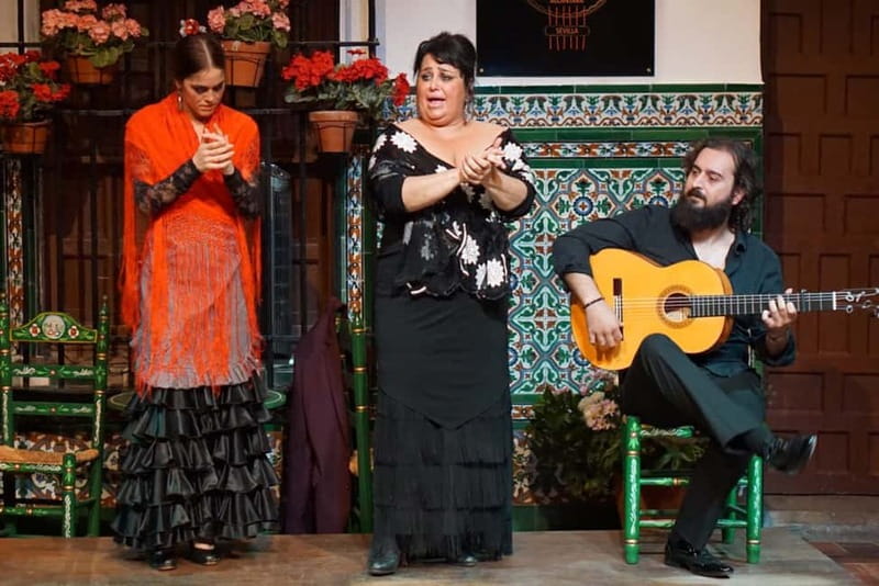 Seville: Tapas Walking Tour with Traditional Flamenco Show - Who should book this Seville experience?