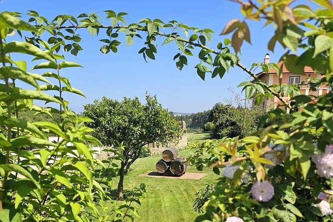 Sintra Food & Wine Experience – Tapas, Tastings & Culture - Azenhas do Mar is the scenic pause