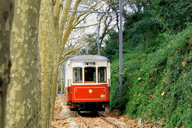 Sintra Food & Wine Experience – Tapas, Tastings & Culture - Sintra finishes with free time in town