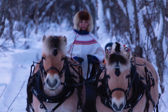 Sleigh Ride w/ Tapas Meal - Experience Arctic Farm Life - Leaving Alta for Omdal Gard