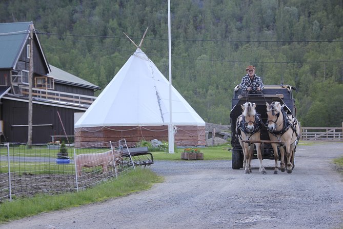 Sleigh Ride w/ Tapas Meal - Experience Arctic Farm Life - What the small-group format adds