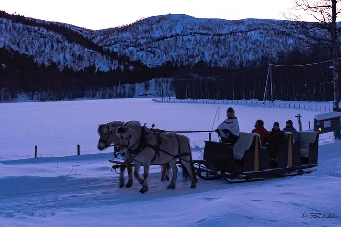 Sleigh Ride w/ Tapas Meal - Experience Arctic Farm Life - Clothing, timing, and practical details
