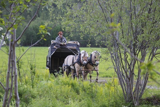 Sleigh Ride w/ Tapas Meal - Experience Arctic Farm Life - Who should book this Alta farm experience?