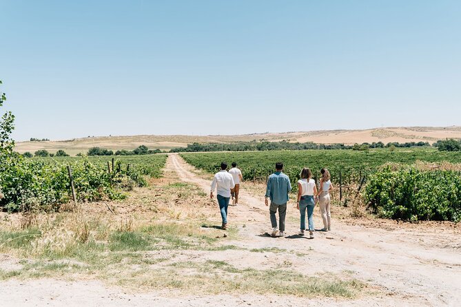 Spanish Villages & Winery Visit with Wine Tasting and Tapas Lunch - Is the $209 Price Fair?