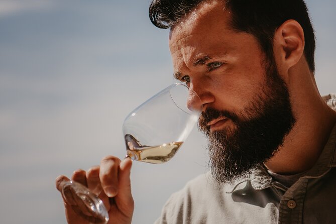Spanish Wine Tasting - Is $90.11 a fair price?